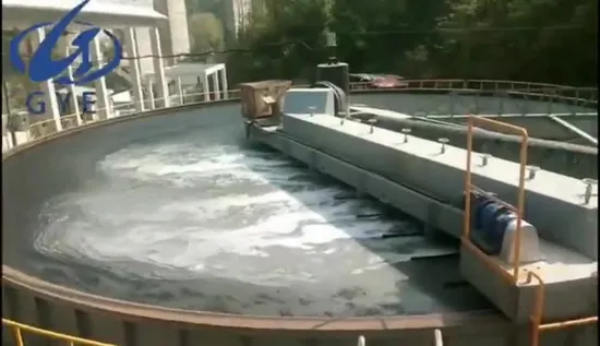 Высокая скорость удаления водорослей на мелководье растворяет воздушную флотацию Daf для очистки воды в озере